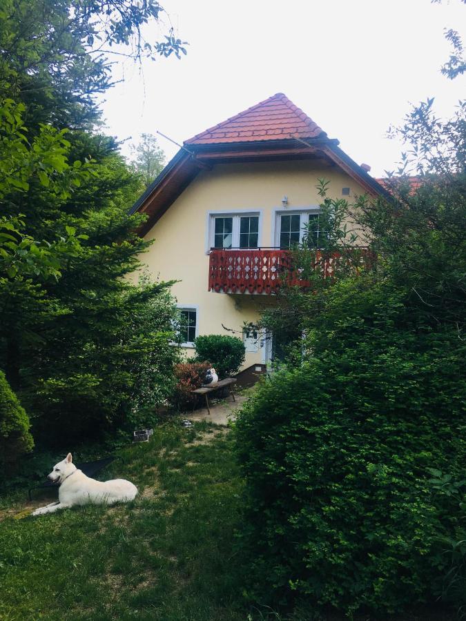 Nicehead Spacious Nest Between Maribor And Celje Loče pri Poljčanah エクステリア 写真